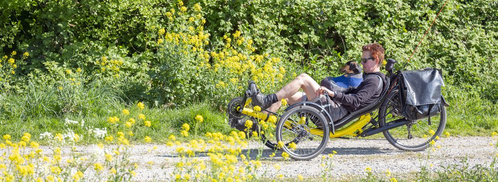 Is a recumbent bike better than walking?